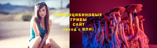 прущая мука Абаза