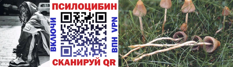 Псилоцибиновые грибы Magic Shrooms  дарнет шоп  Отрадный 