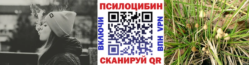 Галлюциногенные грибы мицелий Отрадный